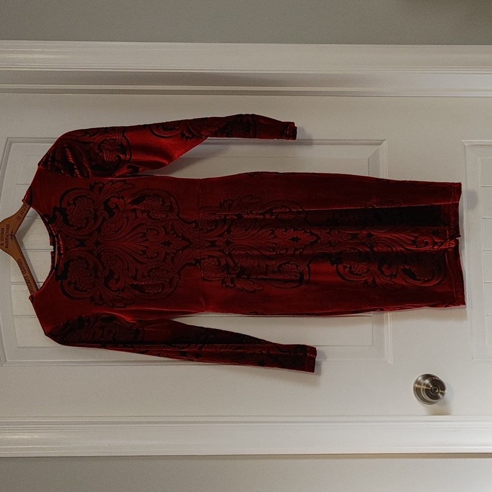 Venus velvet dress
